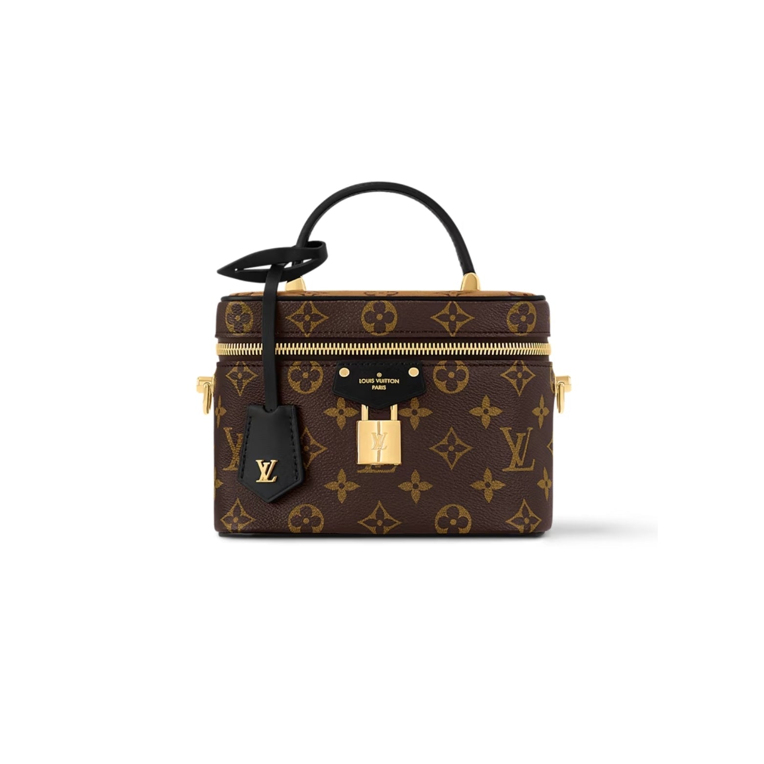 Louis Vuitton Vanity Chain Bag in Monogram Reverse Canvas